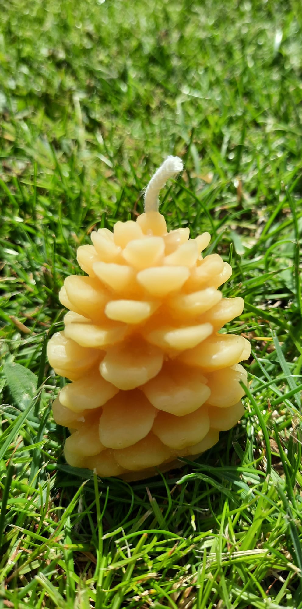 Beeswax Pine Cone Candle - Potterne Honey | Honey made in Potterne ...